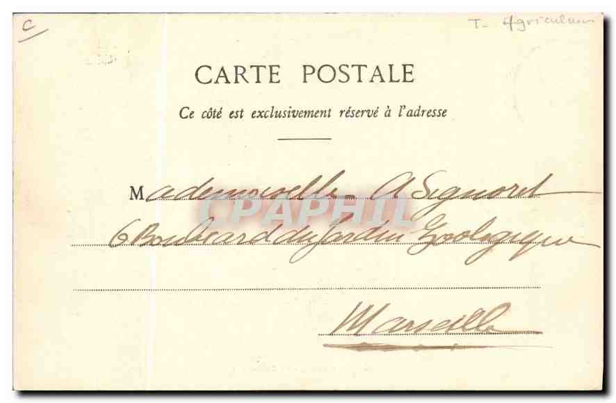 CPA Folklore En Bourbonnais Le labourage — Rückseite