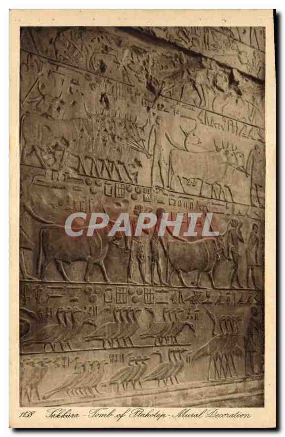 CPA Egypt Egypte Sakkara tomb of Ptahotep 