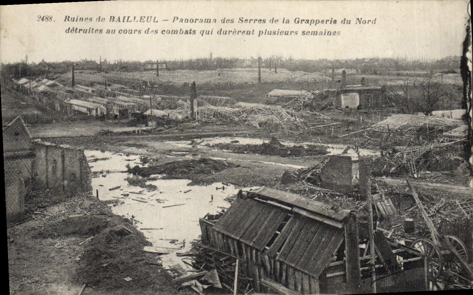 Ruines de BAILLEUL — Panorama des Serres de la Grapperie du Nord détruites au cours des combats qui durèrent plusieurs semaines — n° 2488