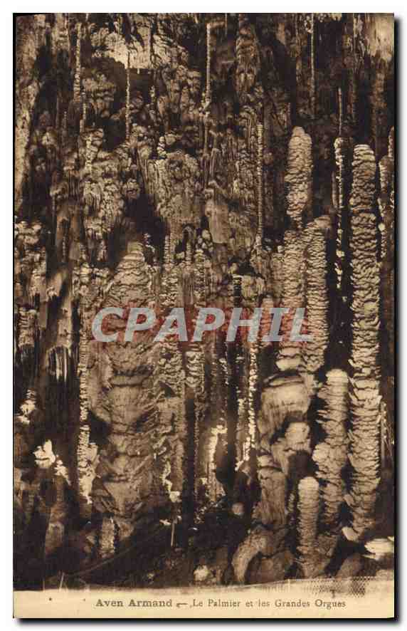 CPA Aven Armand Le Palmier et les Grandes Orgues 