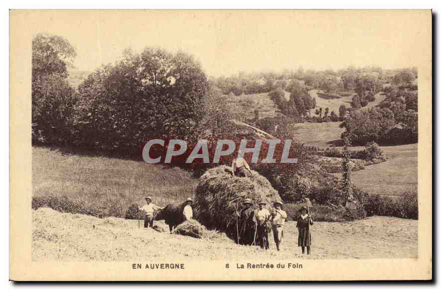 CPA Folklore En Auvergne la rentree du Foin 