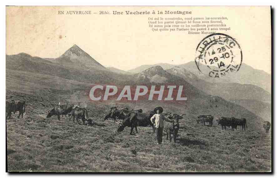 CPA Folklore En Auvergne une vacherie dans le montagne 