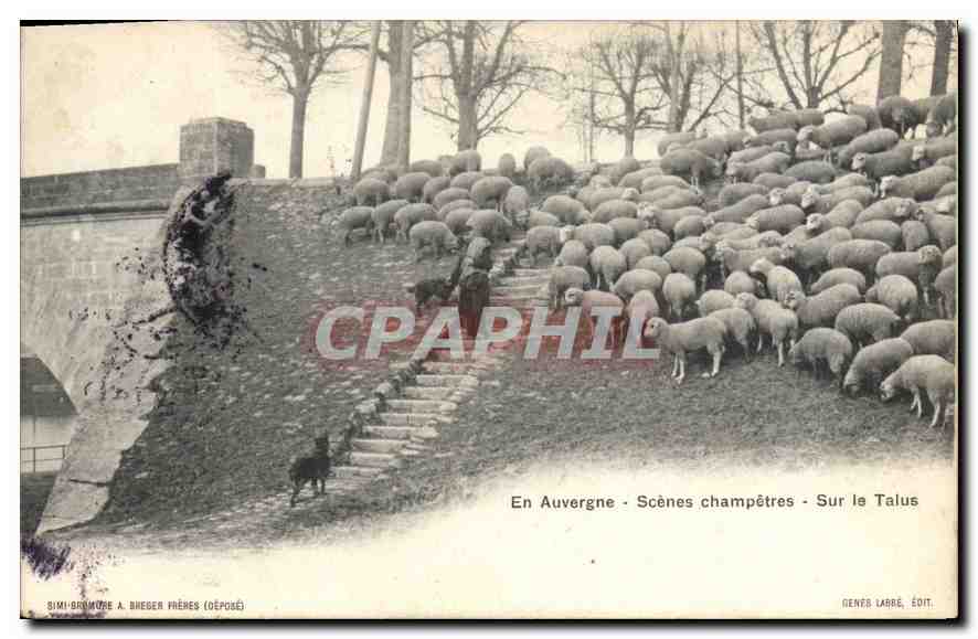 CPA Folklore En Auvergne scenes champetres sur la Talus 