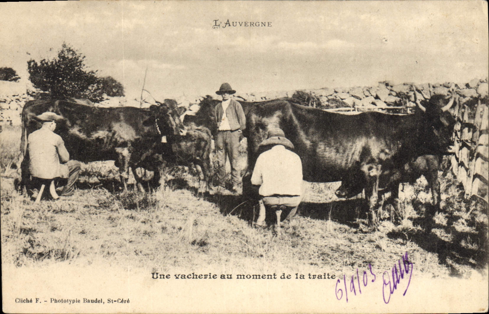 Une vacherie au moment de la traite — L'Auvergne — Cliché F. - Phototypie Baudel, St-Céré