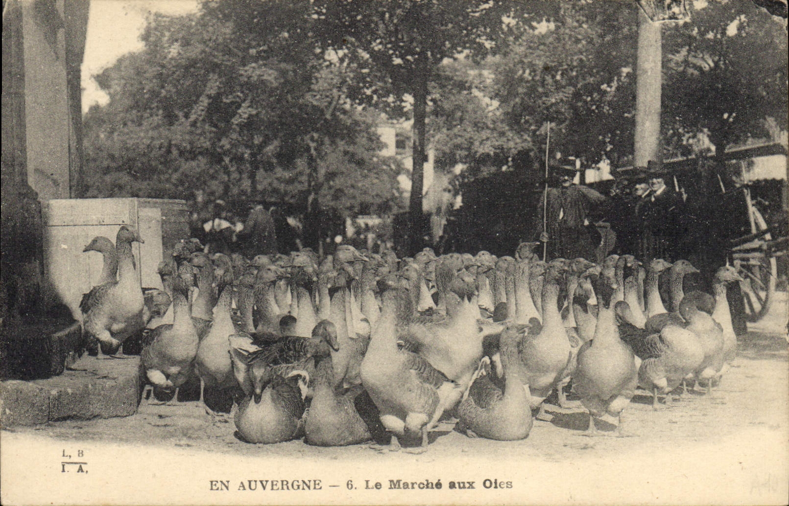 CPA Folklore En Auvergne le marche aux Oies 
