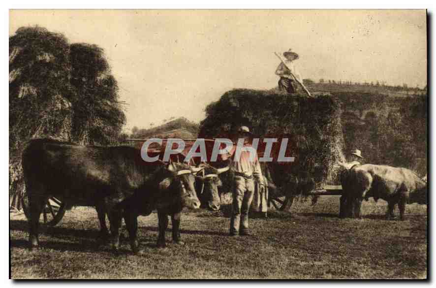 CPA Folklore Types d'Auvergne la Fenaison 