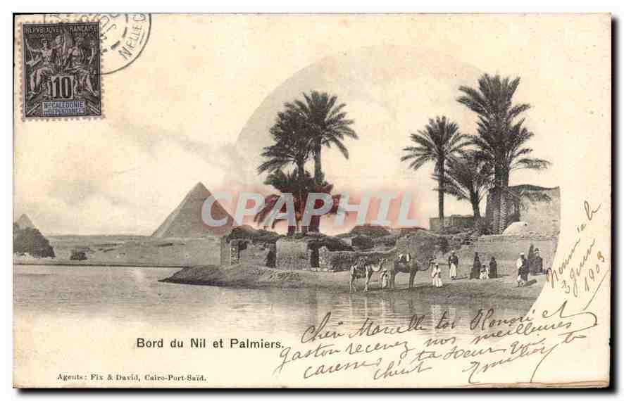 CPA Egypte Egypt Bord du Nil et Palmiers Timbre Nouvelle Caledonie Noumea