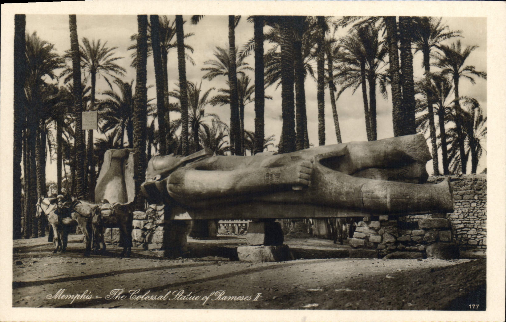 Memphis — La Colossale Statue de Ramsès II — éditeur Lehnert & Landrock, n° 177