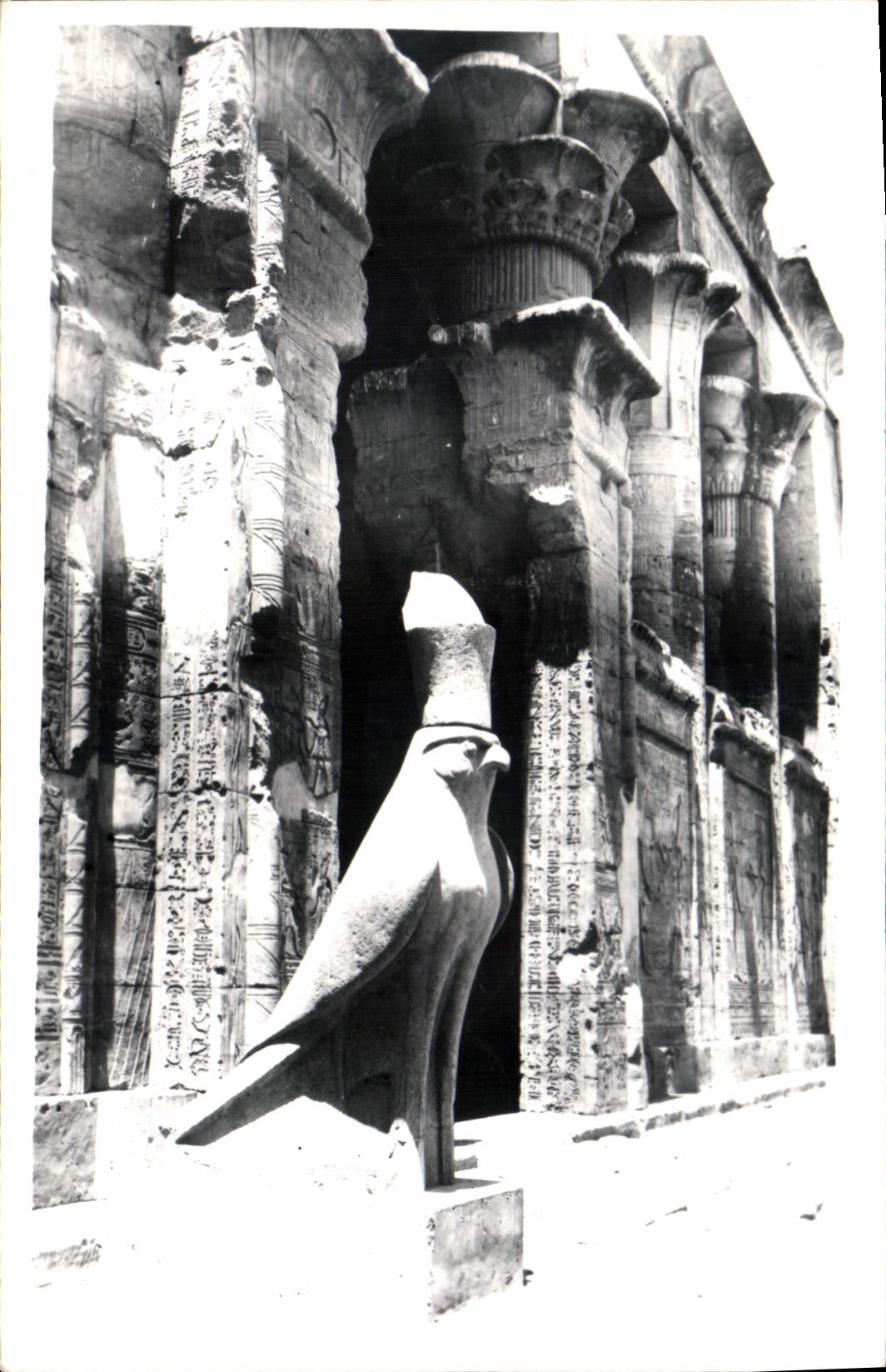 Edfou — Statue d'Horus en granit noir — Gadda Luxor (Égypte)