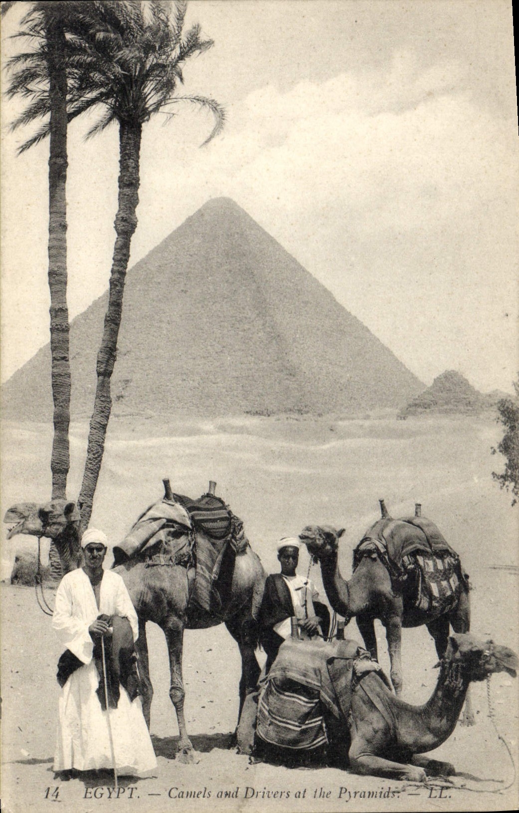 CPA Egypt Egypte Egypt Camels and Drivers at the Pyramids 