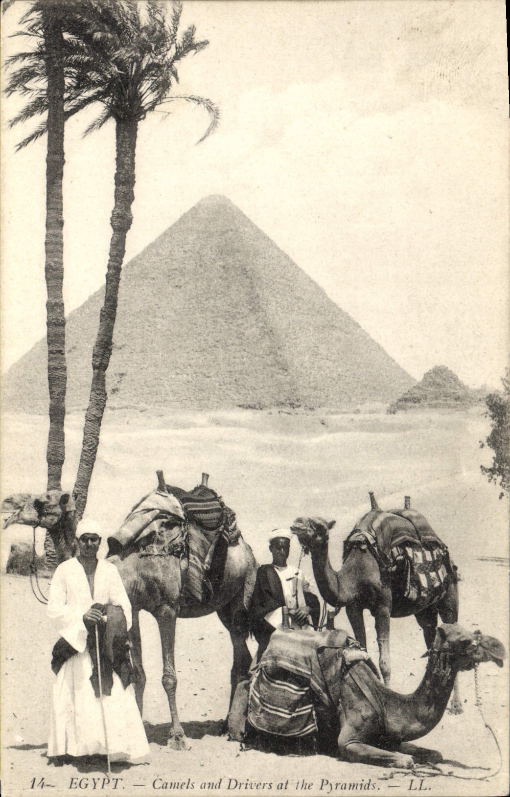 CPA Egypt Egypte Egypt Camels and Drivers at the Pyramids 