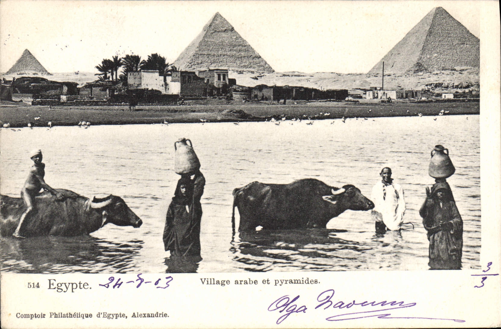 CPA Egypt Egypte Egypte Village arabe et pyramides 