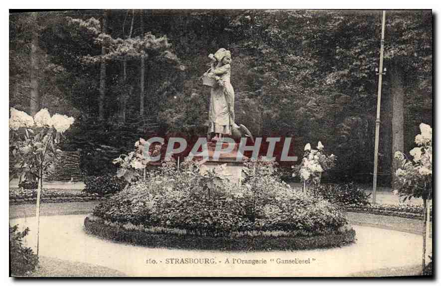 CPA Strasbourg A l'Orangerie Gansebesel 