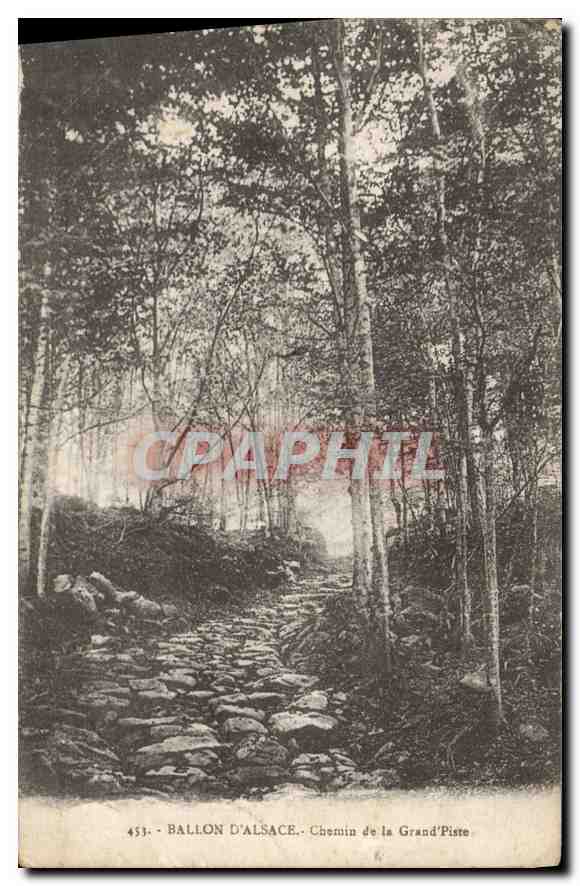 CPA Ballon D'Alsace Chemin de la Grand Piste 