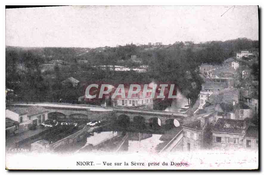 Niort — Vue sur la Sèvre prise du Donjon — C.P.A. B.S. Han