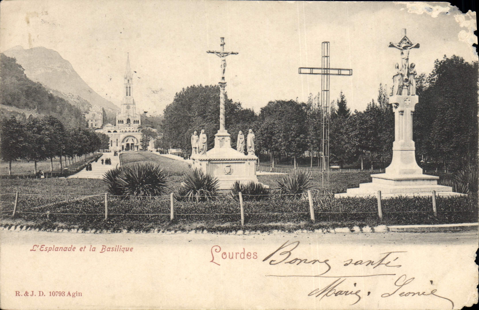 CPA Lourdes L'Esplanade et la Basilique 