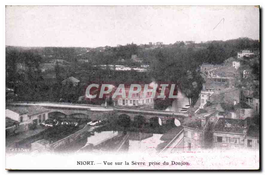 CPA Niort Vue sur la Sevre prise du Donjon 
