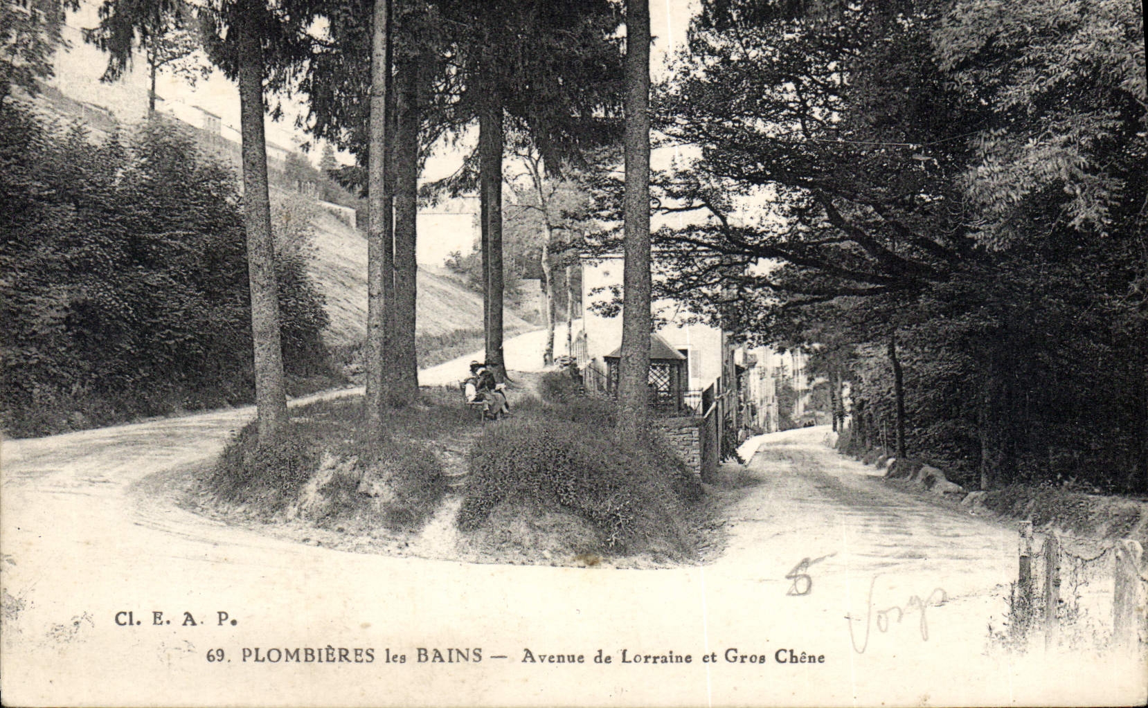 CPA Plombieres les Bains Avenue de Lorraine et Groe Chene 