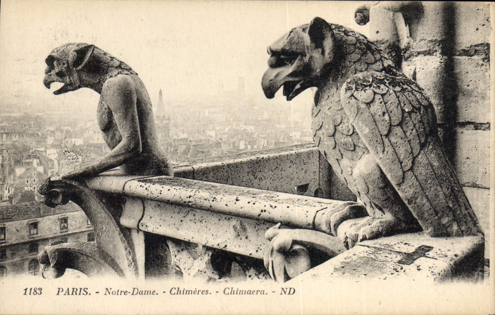 CPA Paris Notre Dame Chimeres Chimaera 