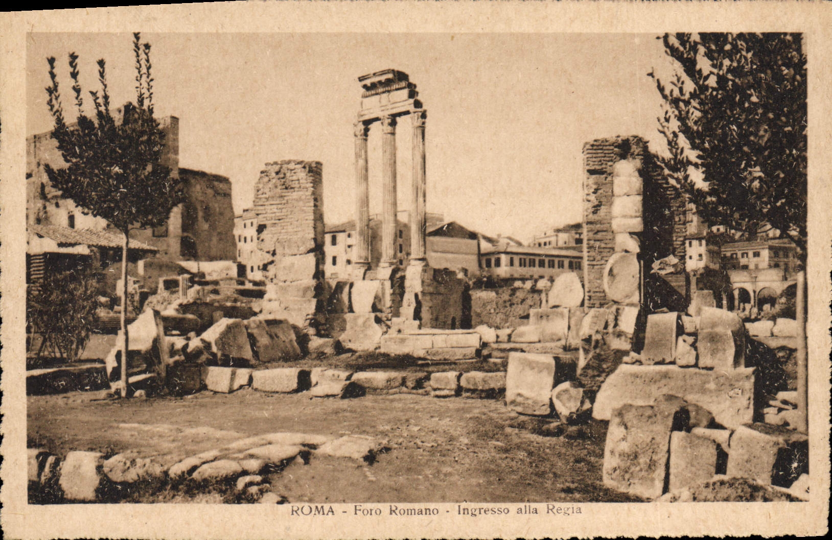 CPA Roma Foro Romano Ingresso alla Regia 