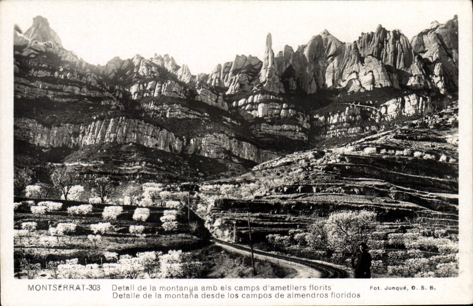 CPA Montserrat Detail de la Montanya Amb els Camps d'Ametllers Florits 