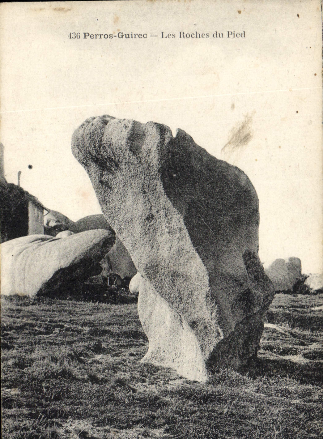 Perros-Guirec — Les Roches du Pied — n° 436