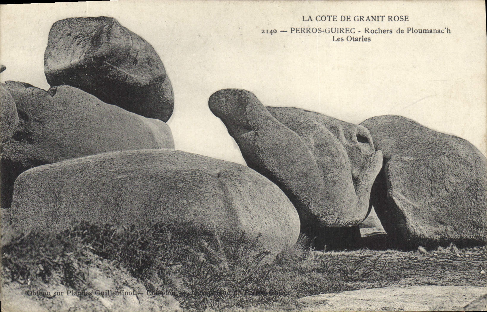Otter — Die Rosa Granitküste — Perros-Guirec