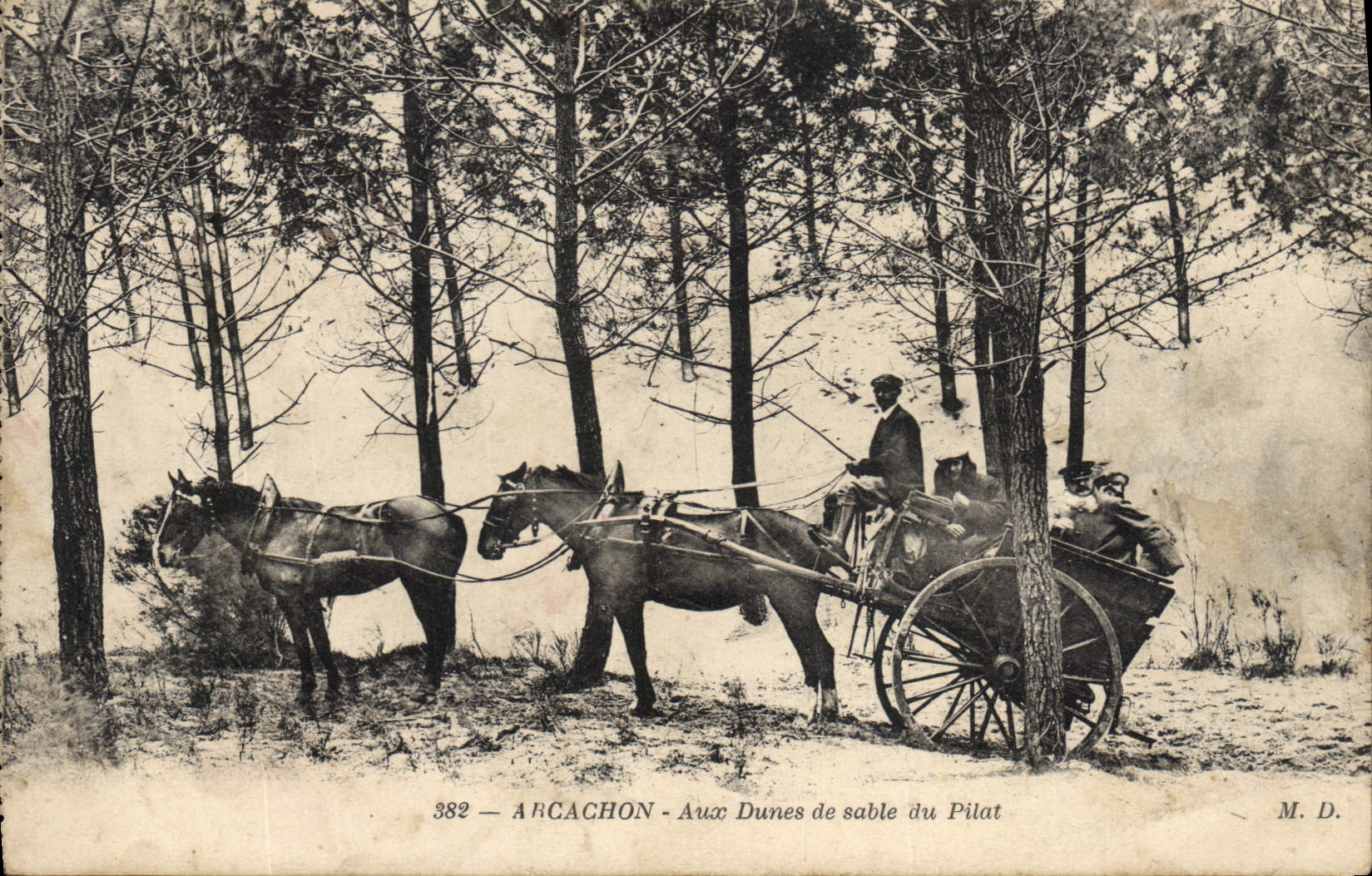 CPA Arcachon Aux Dunes de Sable du Pilat 