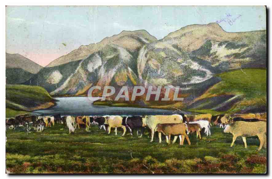 Troupeau descendant des haute pâturages — Les Pyrénées — Éditions Pyrénées-Océan La Figue