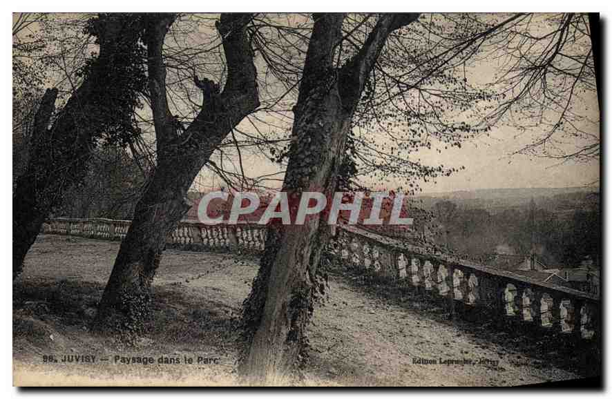 CPA Juvisy Paysage dans le Parc 