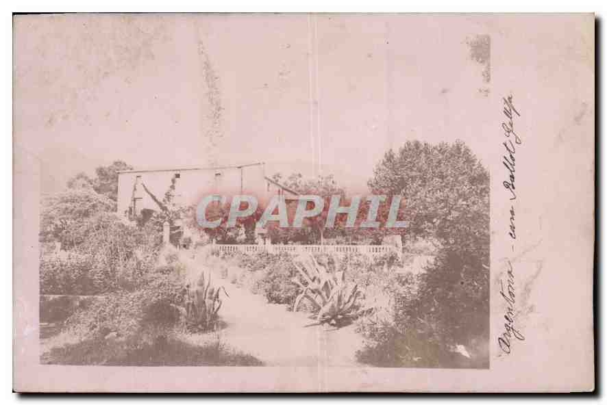CARTE PHOTO Argentina Ballot Gellifa 