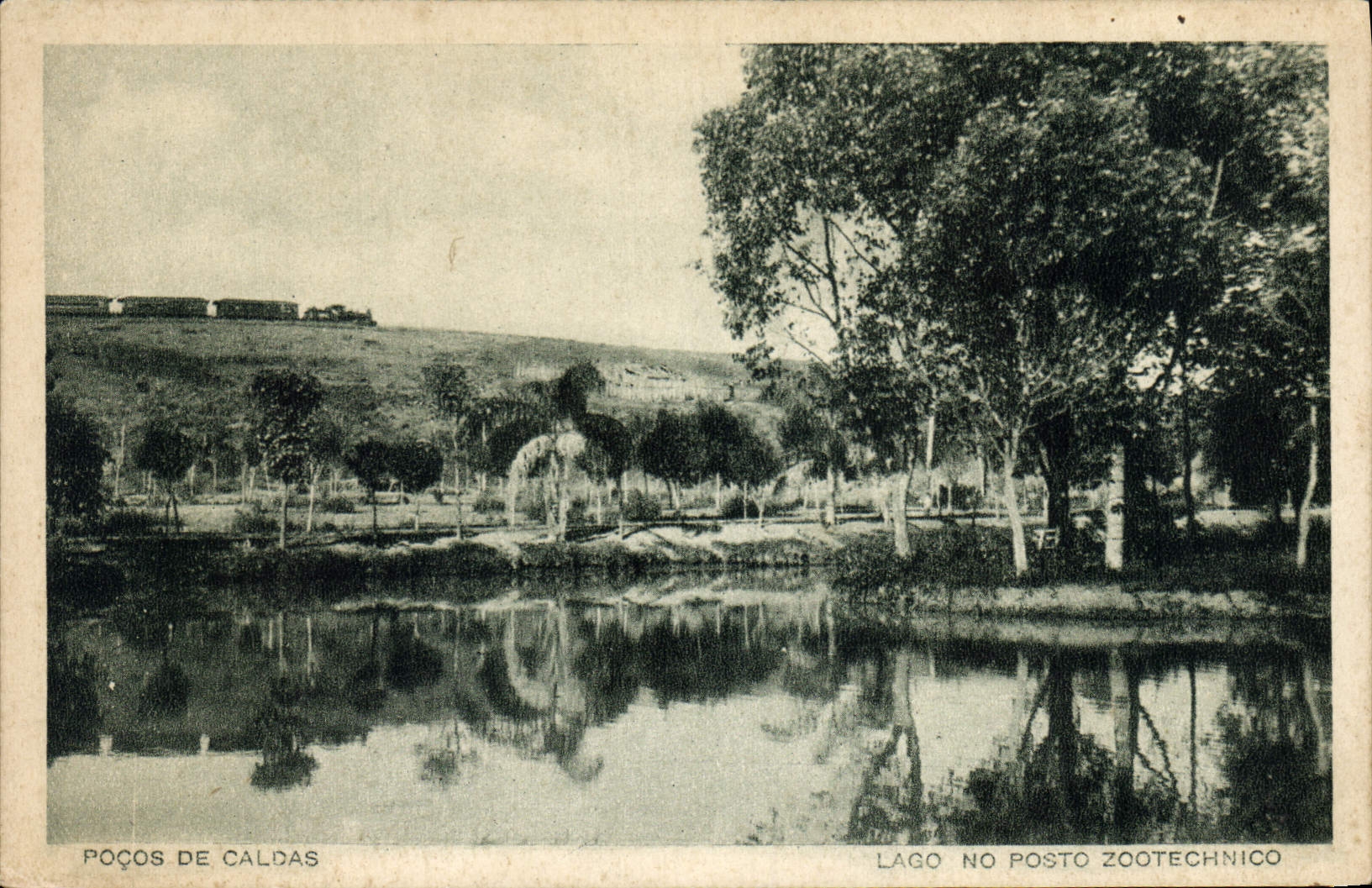 CPA Pocos de Caldas Lago no Posto Zootechnico 