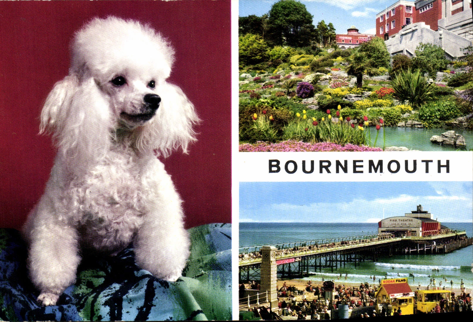 CPA Bournemouth 
