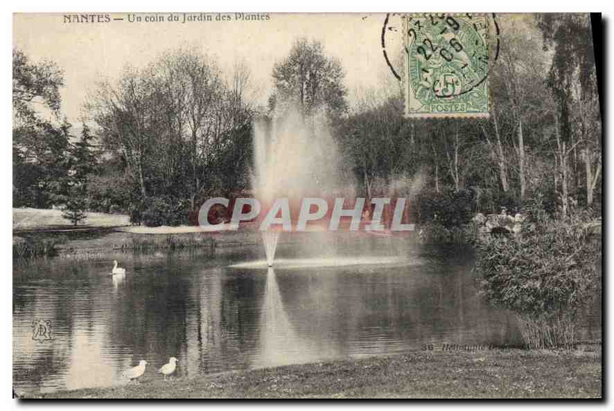 CPA Nantes Un coin du Jardin des Plantes 