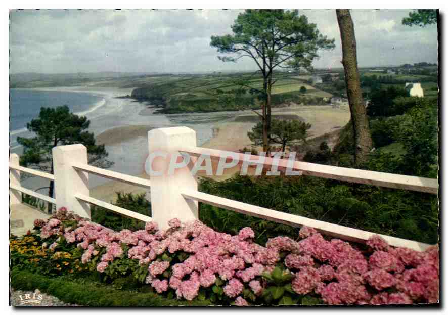 CPA La Cote Bretonne et les Fleurs 