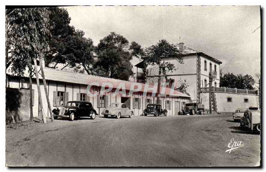 Tichy (près Bougie) — Établissement « La Grande Terrasse » — Éditeur Épra