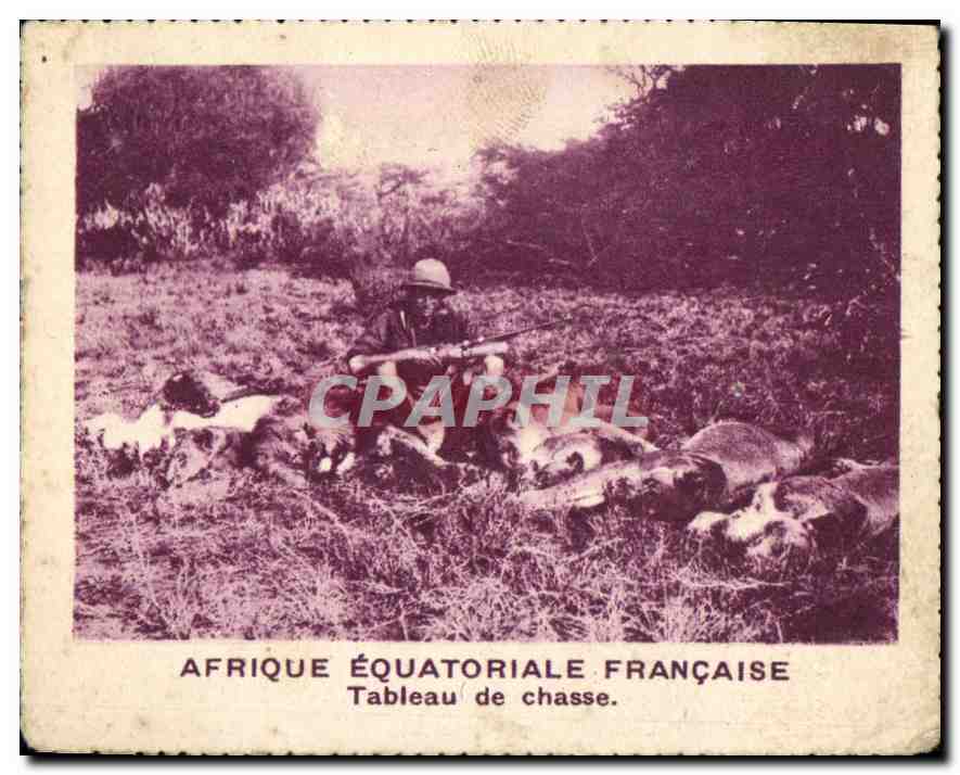 Afrique Équatoriale Française — Tableau de chasse — CPAPHIL - Anverso