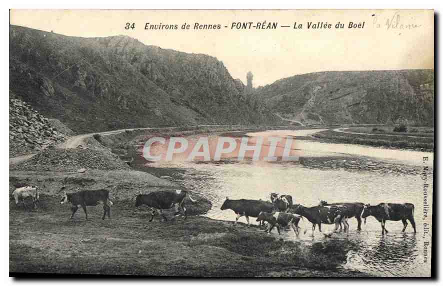 CPA Environs de Rennes Pont Rean La Vallee du Boel Vaches