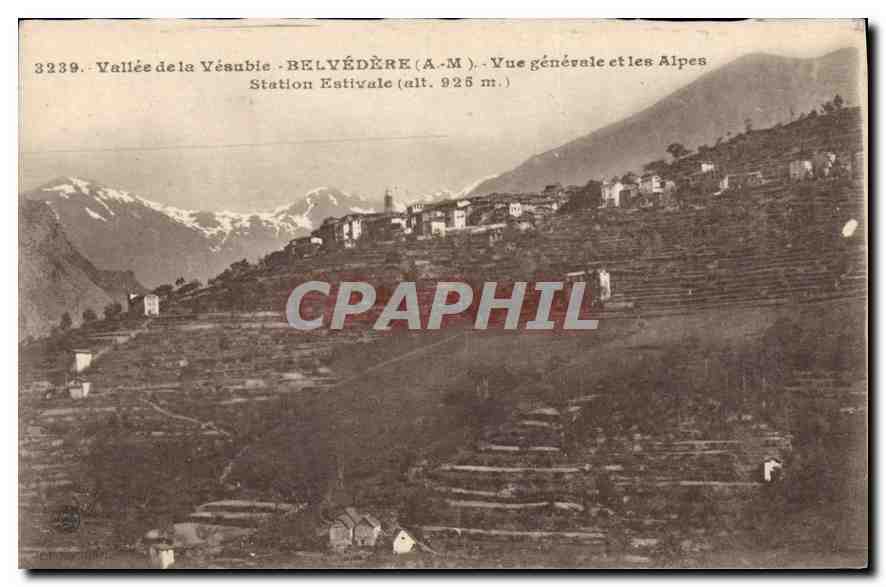 CPA Vallee de la Vesubie Belvedere Vue generale et les Alpes Station Estivale 