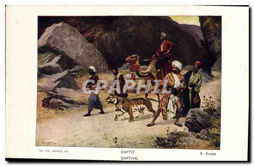 CPA Captif  Ernst Tigre Chameau