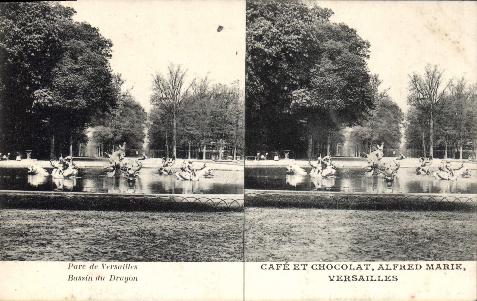 CPA Parc de Versailles Bassin du Dragon 