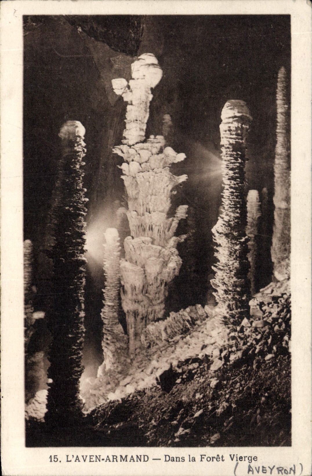 CPA L Aven Armand Dans la Foret Vierge 