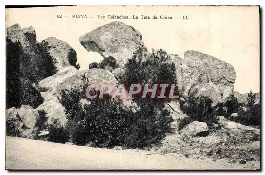 CPA Piana Les Calanches La Tete de Chien 