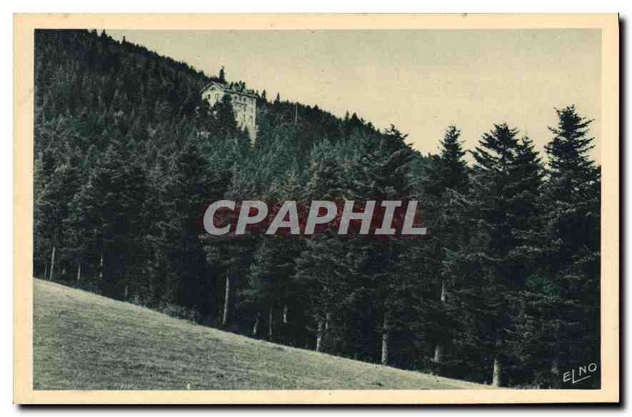 CPA La Louvesc L'Hotel du Mont Besset dans les bois 