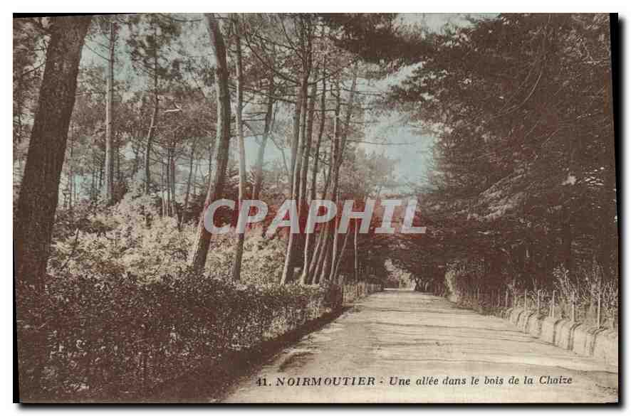Noirmoutier — Une allée dans le bois de la Choize — G. Artaud, éditeur, Noirmoutier