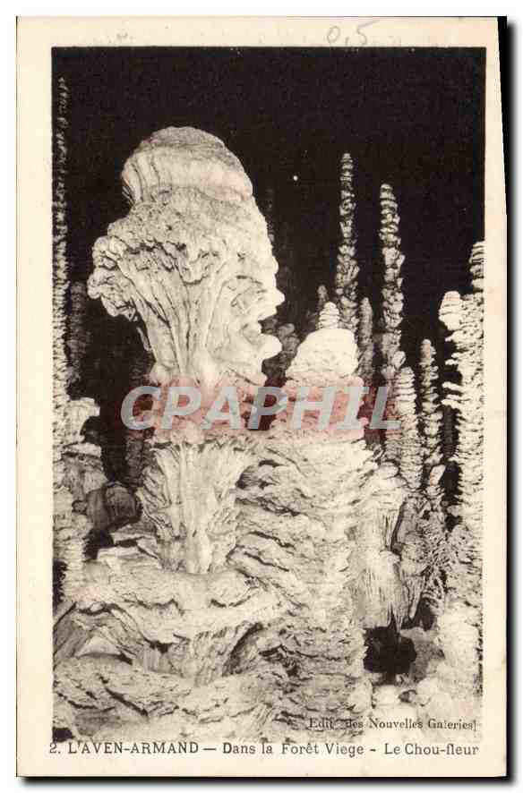 CPA Laven Armand Dans la Foret Viege Le Chou fleur 