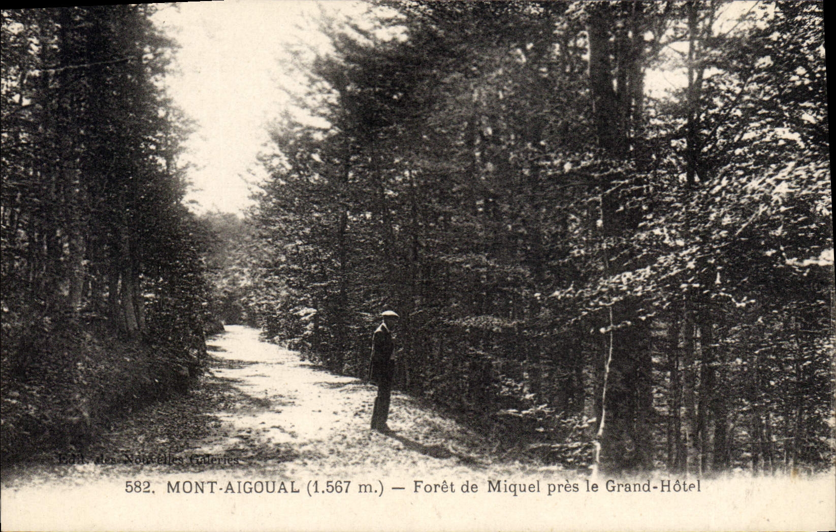 Mont-Aigoual (1.567 m.) — Forêt de Miquel près le Grand-Hôtel — Éditeur : des Nouvelles Galeries, n° 582