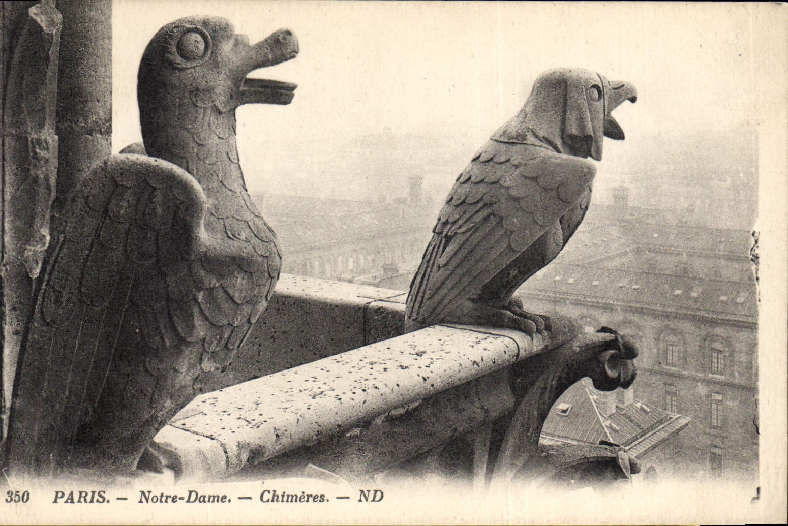 CPA Paris Notre Dame Chimeres