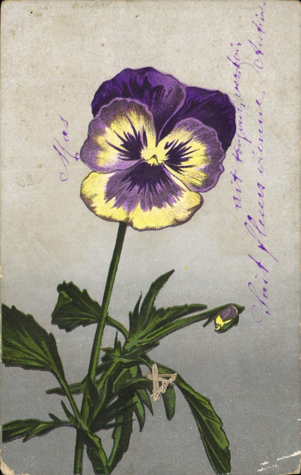 CPA Fantaisie Fleurs