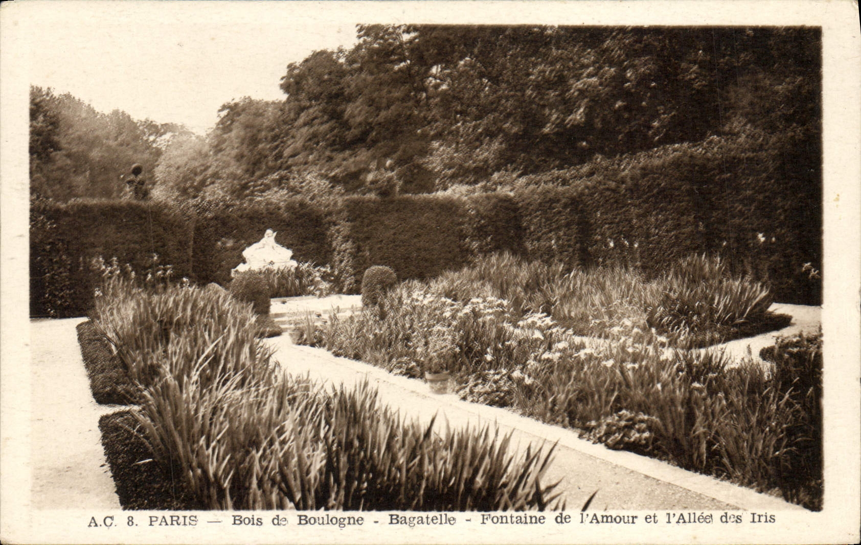 CPA Paris Bois de Boulogne Bagatelle Fontaine de l'Amour et l'Allee des Iris